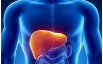 Восстанавливается ли печень