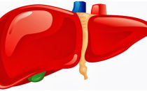 Препараты для очистки печени