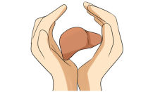 Препараты для печени