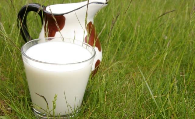 Молоко снимает итоксикацию после бурного застолья