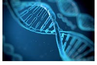 geneticheskiy_faktor